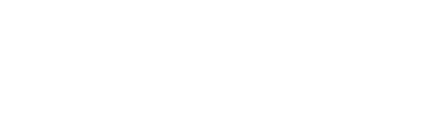 Born in Sanyo Leather, Himeji TAANNERR